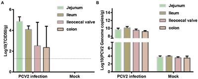 Impact of porcine circovirus type 2 on porcine epidemic diarrhea virus replication in the IPI-FX cell line depends on the order of infection